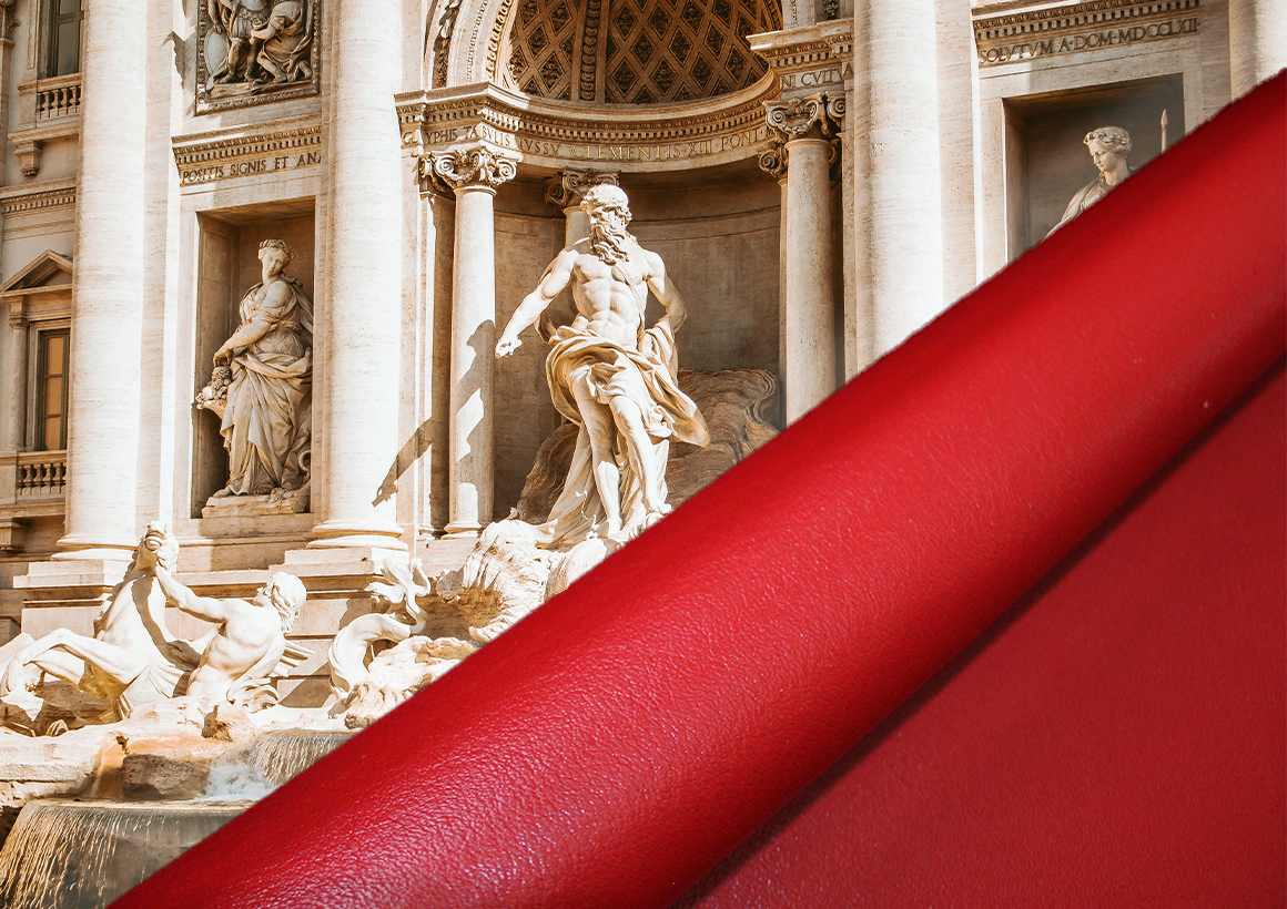 roma-image